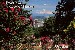 View from the Rose Garden over Portland [postcard]